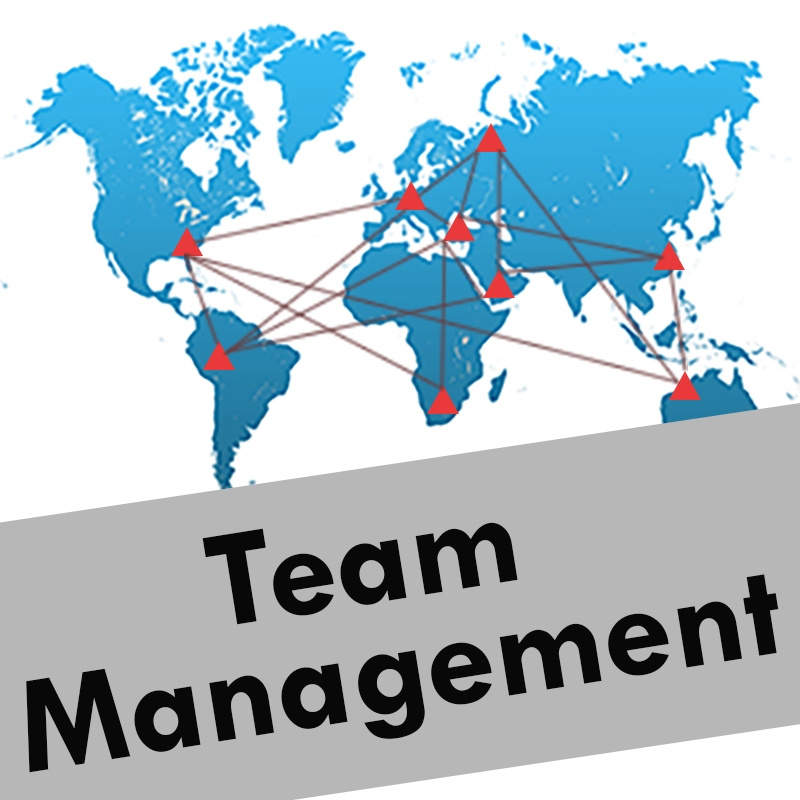 GTP® MANAGER TEAMROM